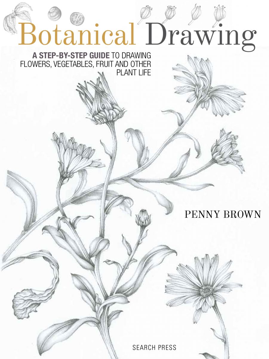 Botanical Drawing A Step by Step Guide