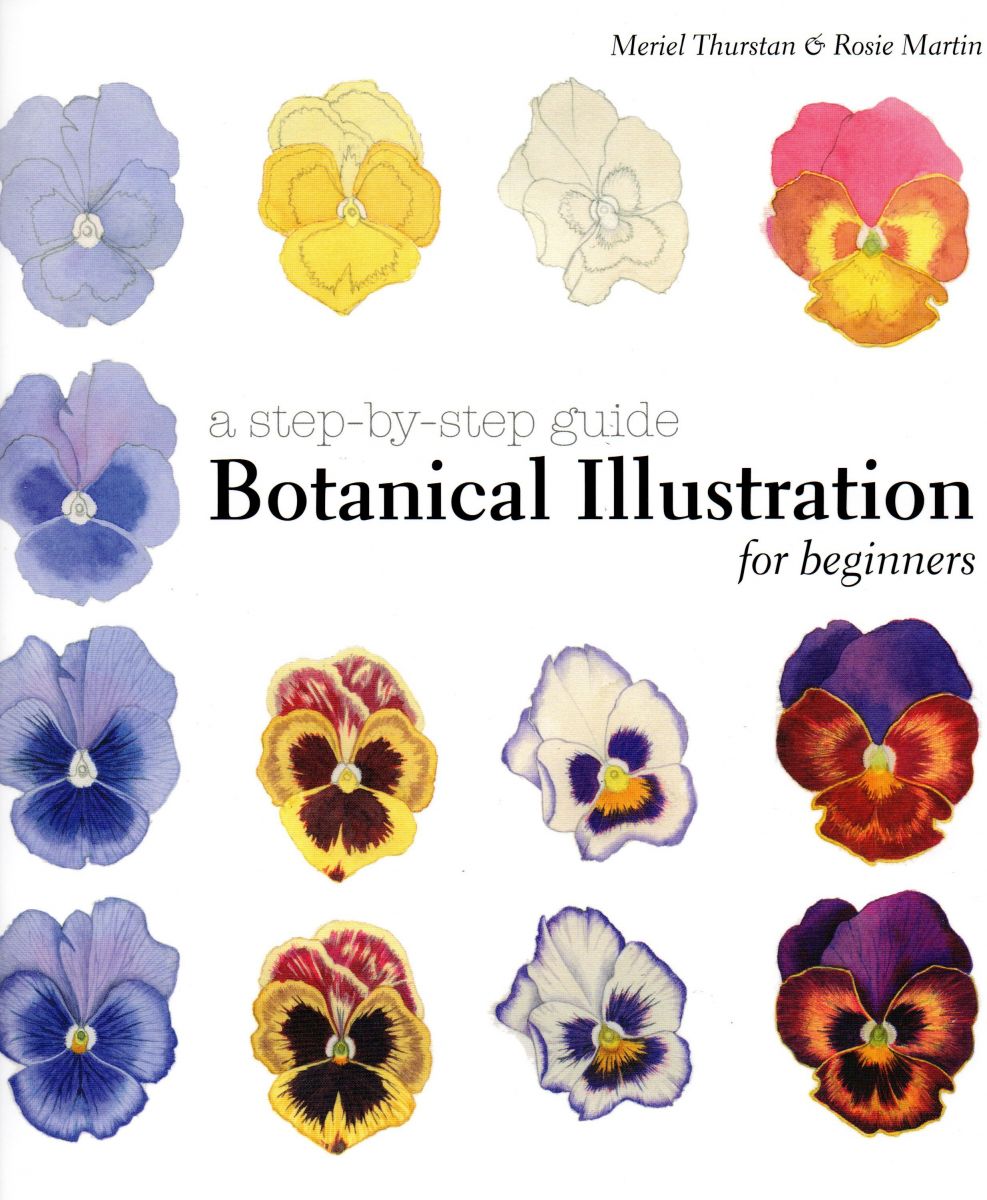 Botanical Illustration for Beginners