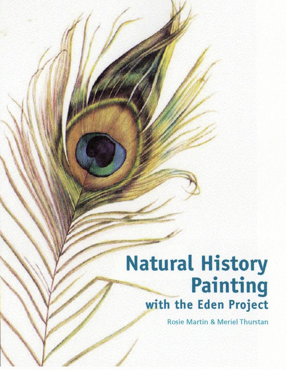 Natural History Illustration by Rosie Martin and Meriel Thurstan
