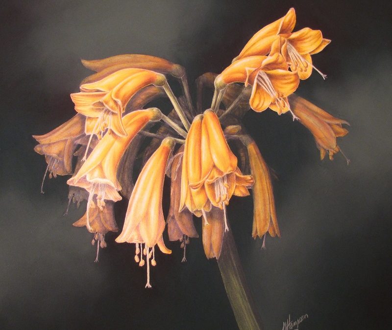 Linda Hampson