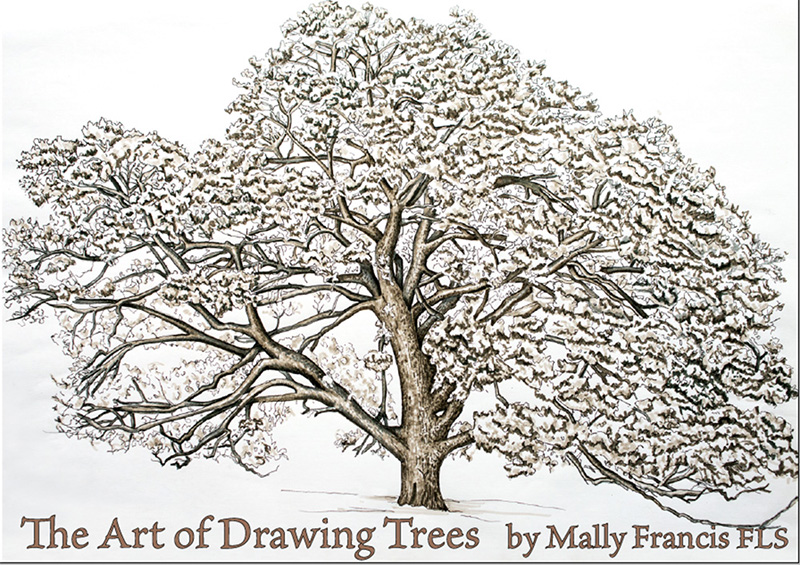 The Art of Drawing Trees