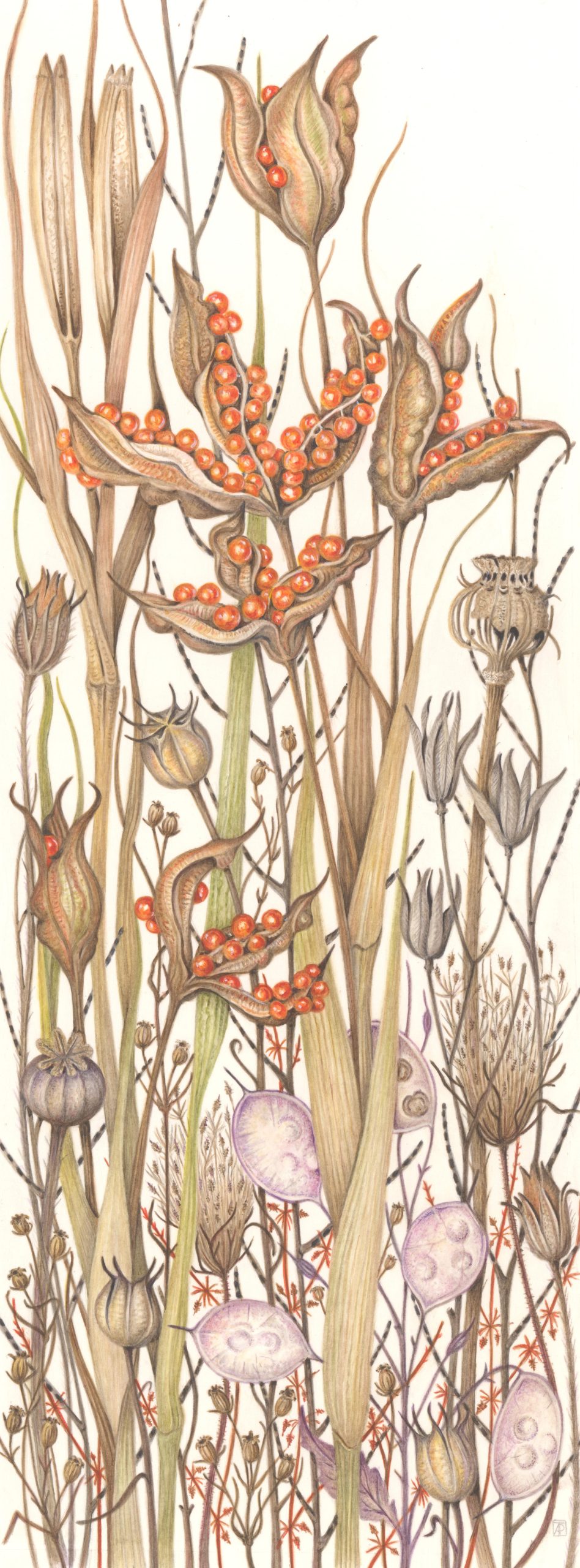 Composition with Pauline Trim