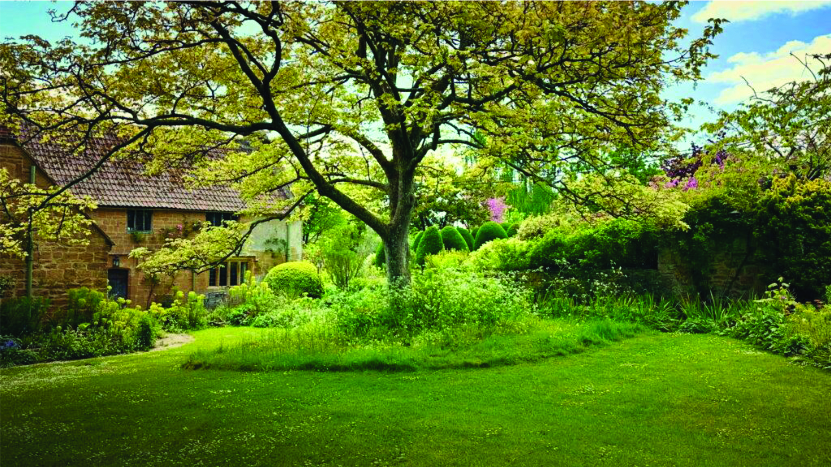 East Lambrook Garden Painting Day